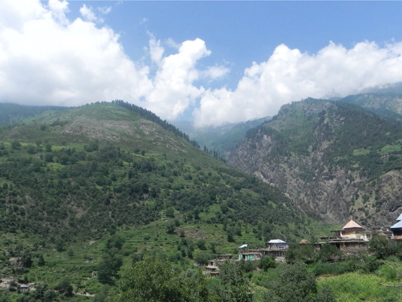 Paddari image 1