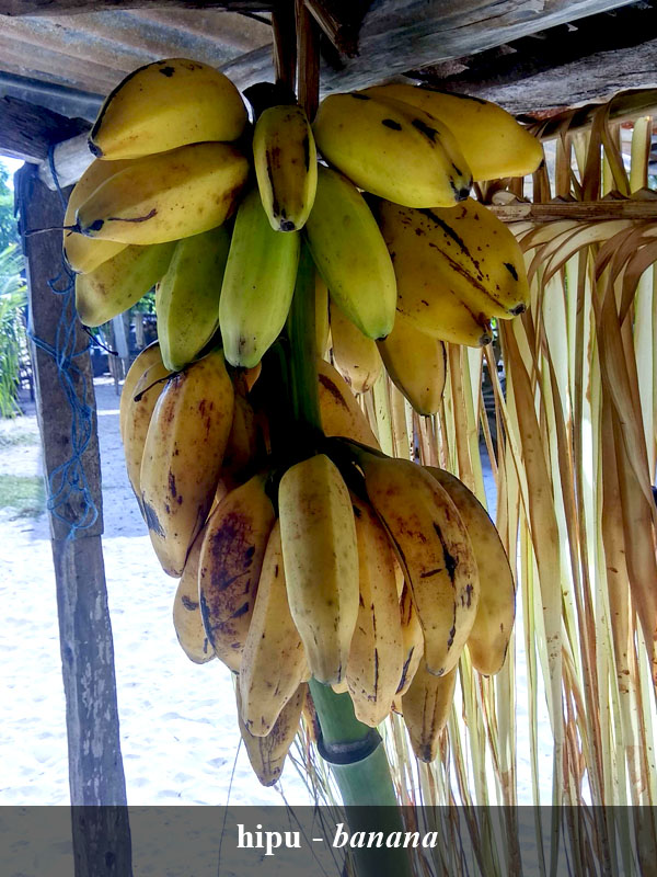 Sanenyo image 16